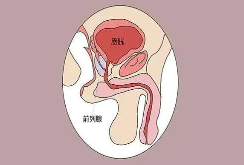 注意！縱欲和禁欲，最受傷的還是男人的這個器官！(圖1)